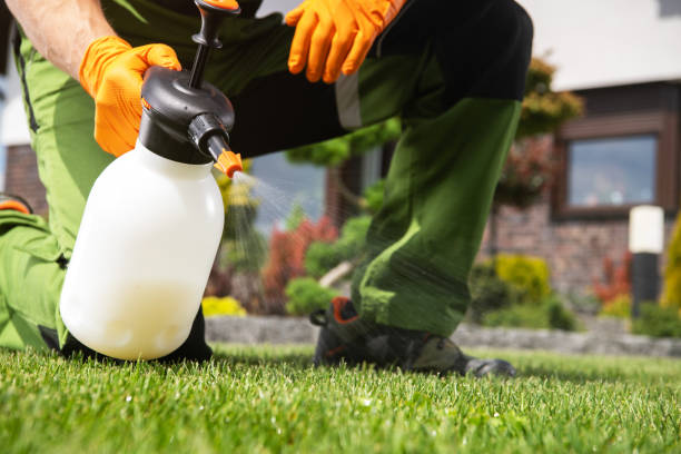 Best Insect Control  in Sheldon, TX
