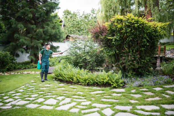 Best Best Pest Control Companies  in Sheldon, TX