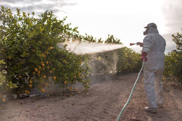 Best Best Pest Control Companies  in Sheldon, TX