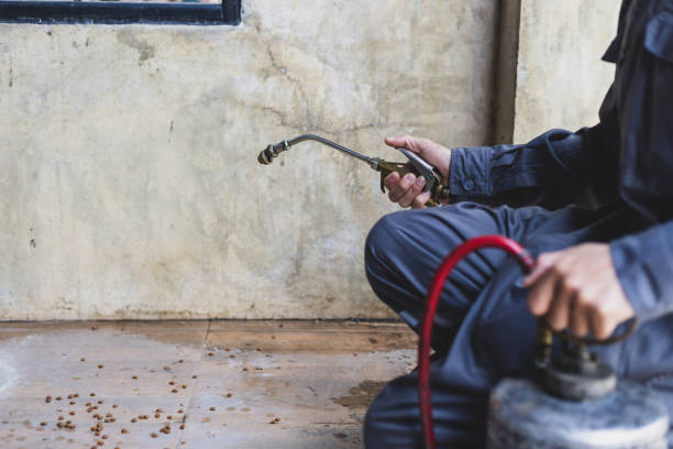 Best Wasp Removal Services  in Sheldon, TX