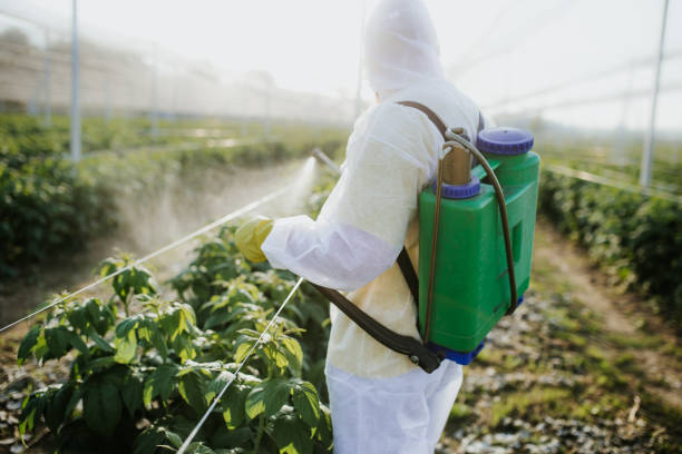Wildlife Control Services in Sheldon, TX